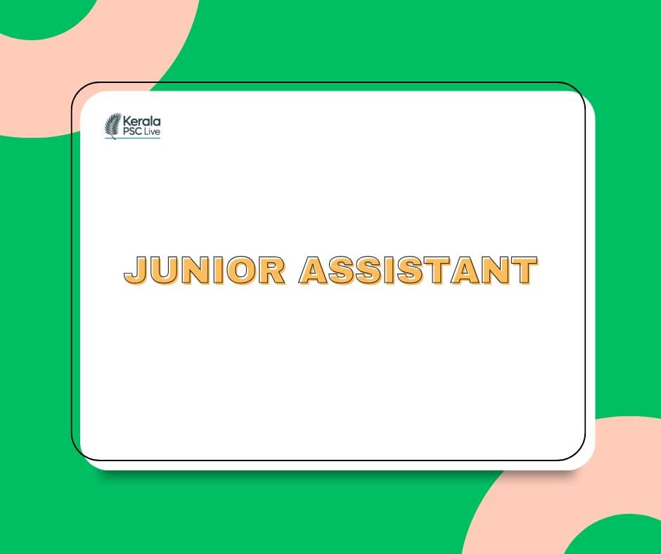 Junior Assistant